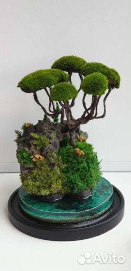 Моссариум. Подарок на день рождения, педагогу