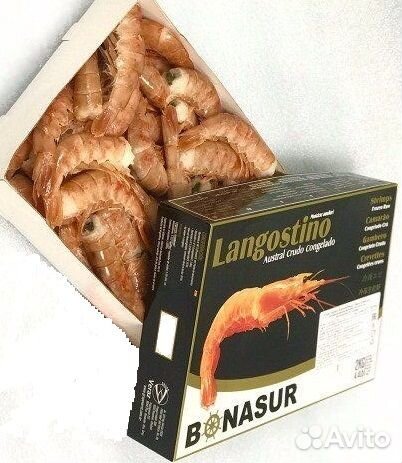 Лангустин безголовый аргентинский С1