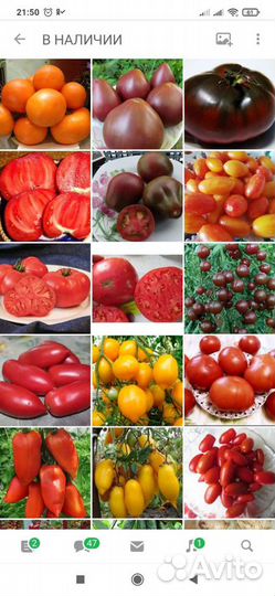 Семена томатов