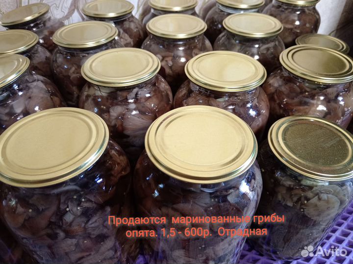 Продаются маринованные грибы опята этого года