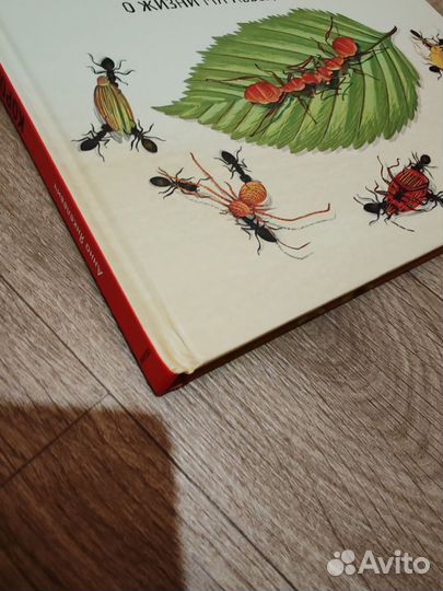 Королевство насекомых Миф