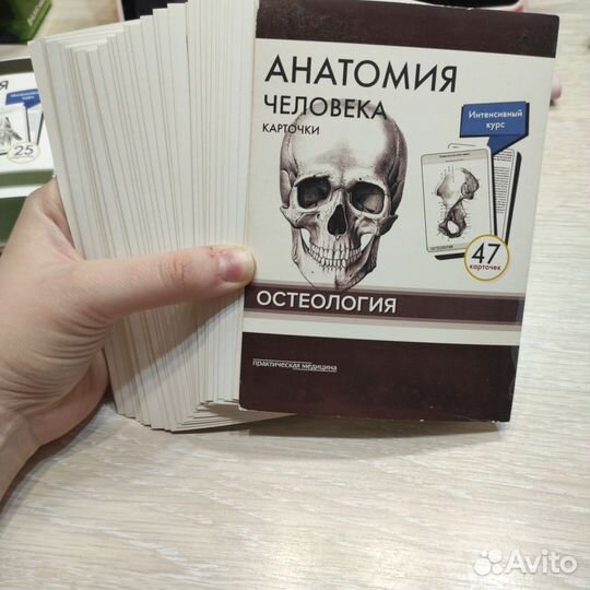 Карточки по анатомии