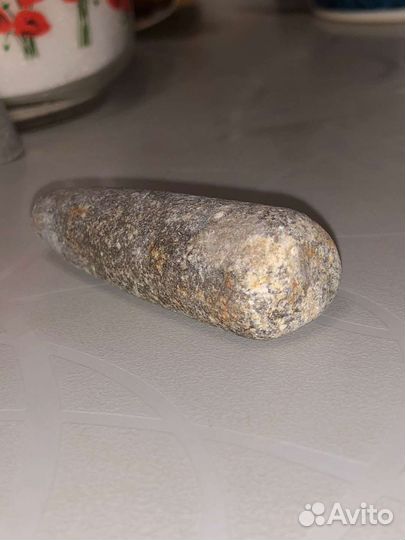 Окаменелости аммониты и белемниты