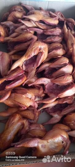 Перепелка копченая,мясо бройлер,мясо кролика