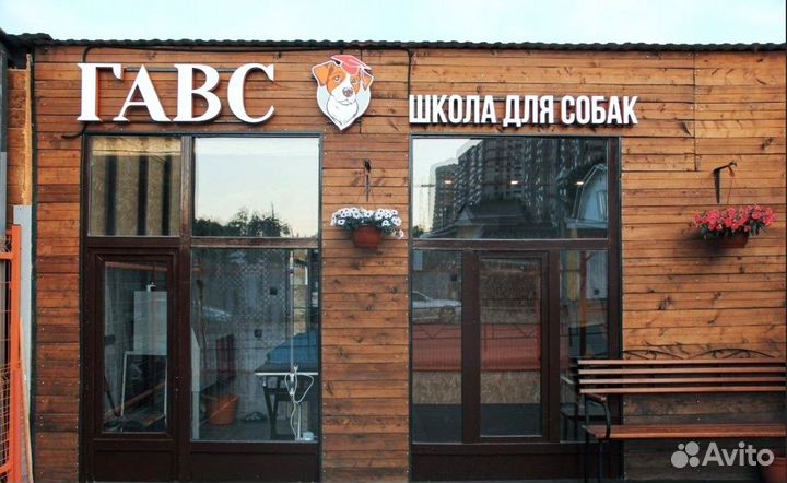 Кинолог / обучение собак