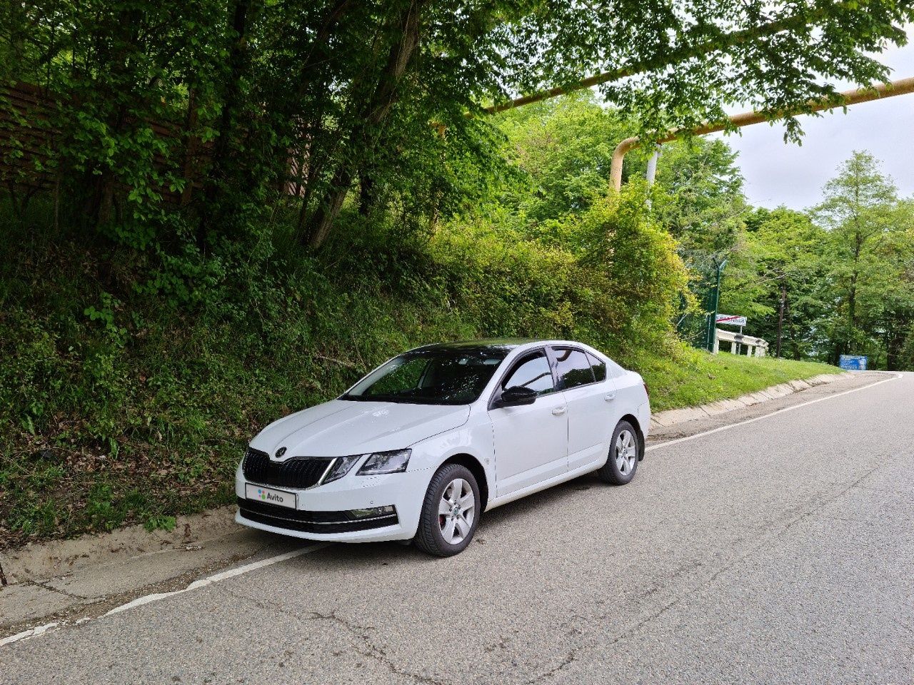 Skoda Octavia: фото владельца