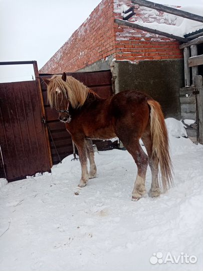 Два советских тяжеловоза