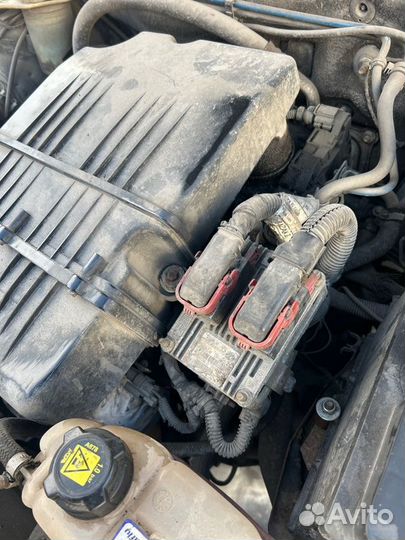 Двигатель Fiat Albea 2008