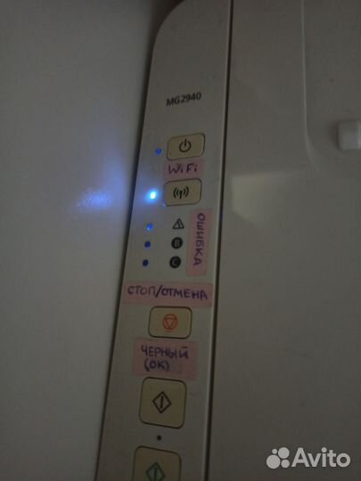 Принтер Canon Pixma MG2940 с снпч