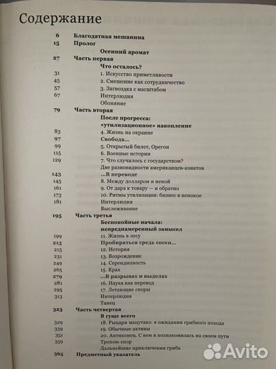 Гриб на краю света