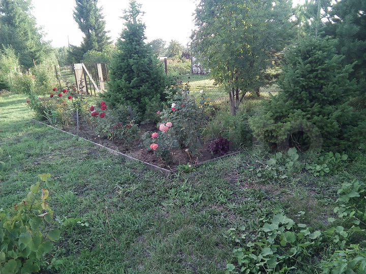 Дача 36 м² на участке 20 сот.