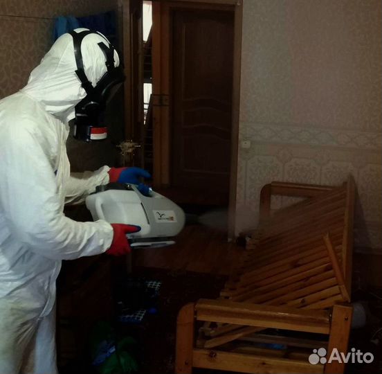 Клопов тараканов клещей комаров борщевика плесени