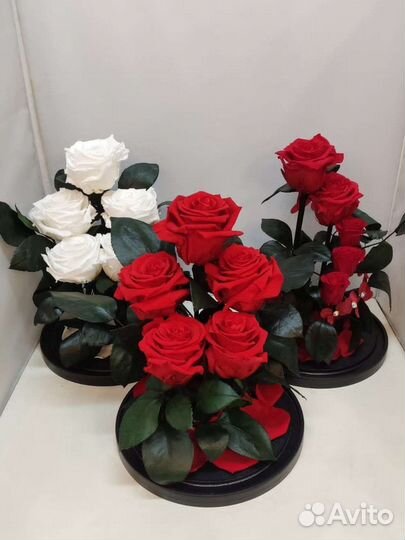 Розы оптом