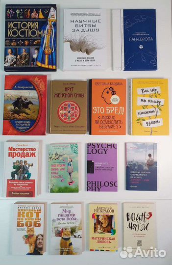Чжен, Рапсон, Бардина, Доусон, Боуэн, Некрасов