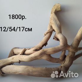 ArtUniq Driftwood With Anubias M2 Декоративная композиция из пласт. Коряга с анубиасом 26,5x22,5х37