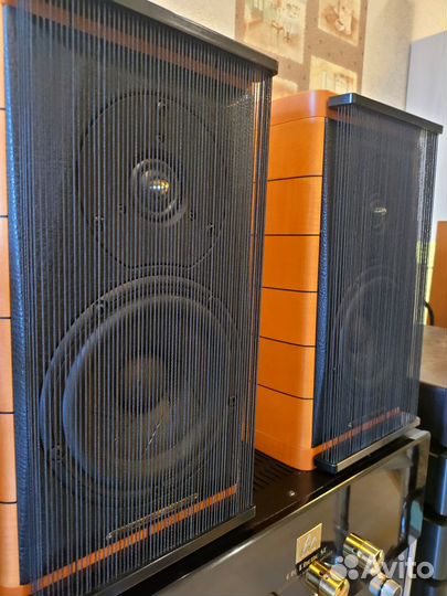 Audio note + sonus faber комплет N17