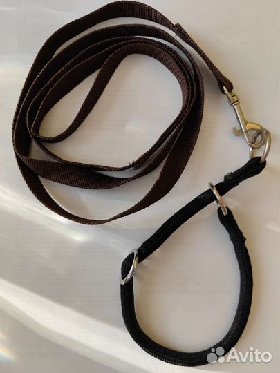 Намордник для маленькой собаки