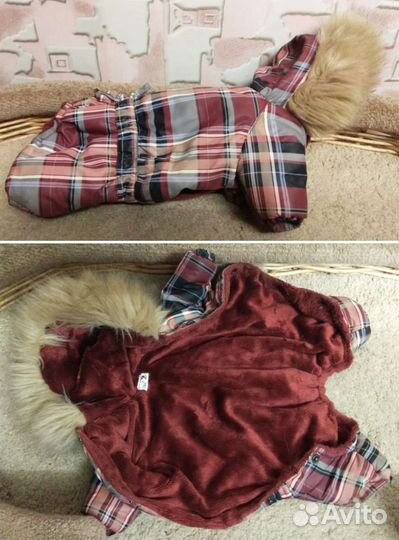 Вещи для небольшой собаки