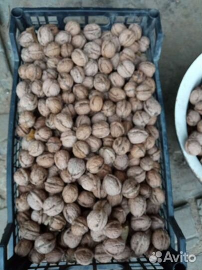 Орехи грецкие