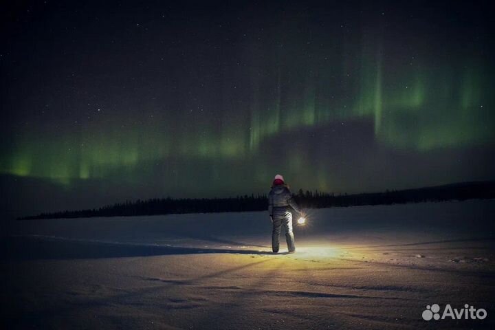 Консультация посуточной аренды квартиры