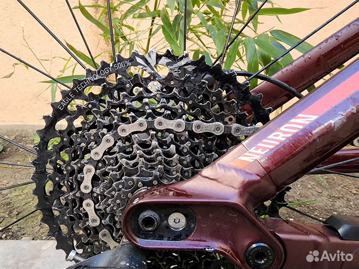 Canyon neuron AL 7.0 2019