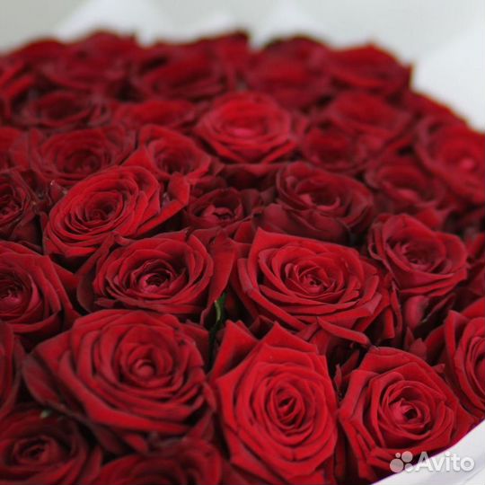 Цветы Доставка розы красные