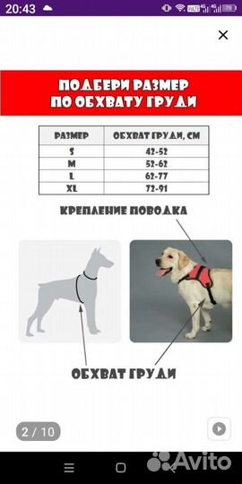 Шлейка для собаки