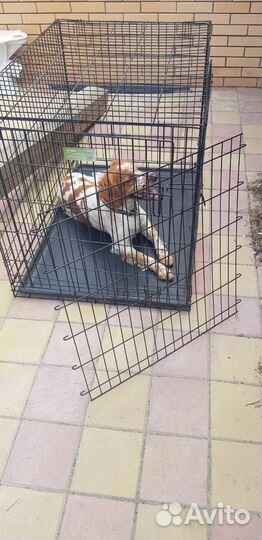 Клетка вольер для собак