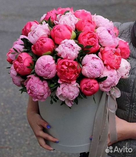 Пионы Букет пионов