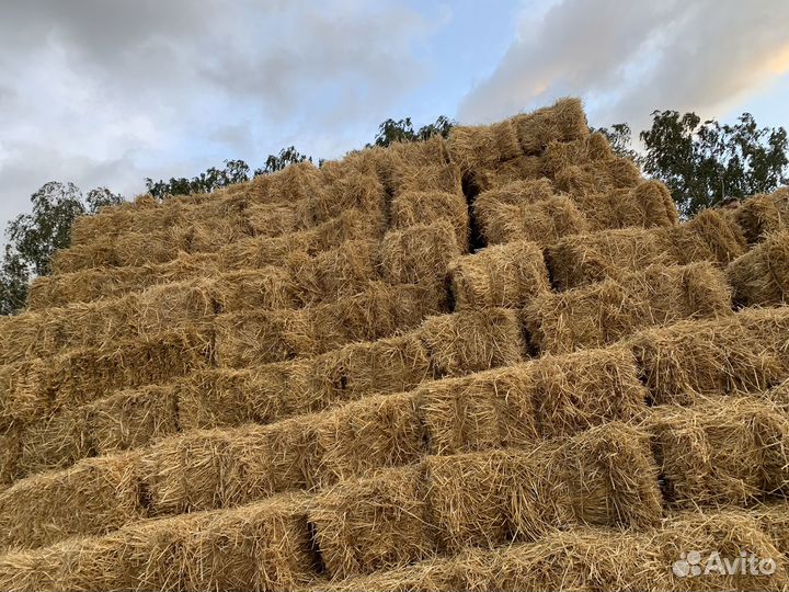 Солома в тюках