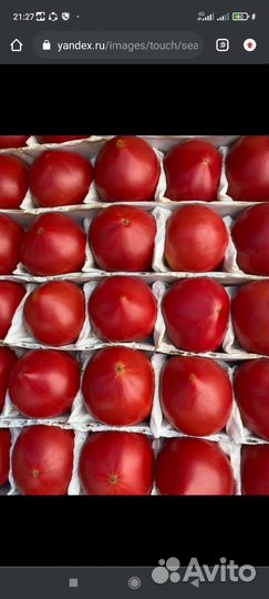 Ишу бизнес партнёр по прадажа