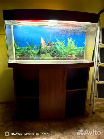 2 Аквариума
