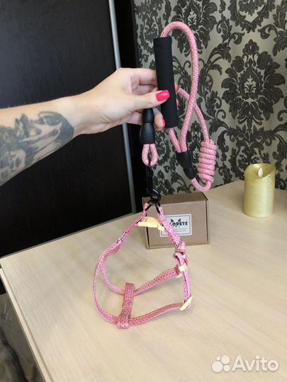 Шлейка для собак Новая