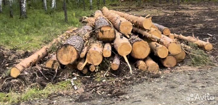 Продам Лес кругляк сосна