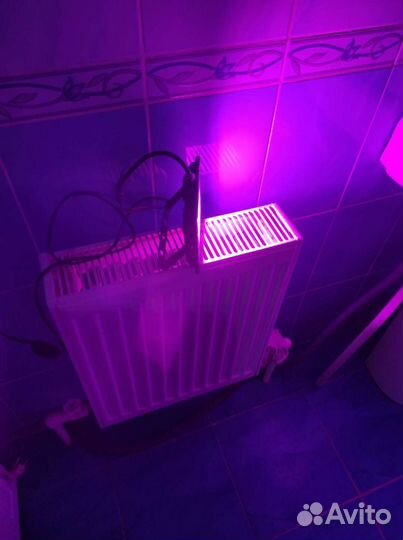 Светодиодная лампа