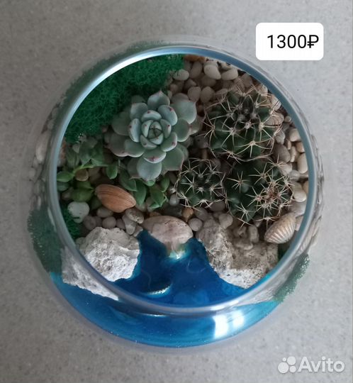 Флорариум подарок цветы