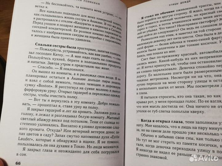 Кларисса Гоэнаван Птицы дождя