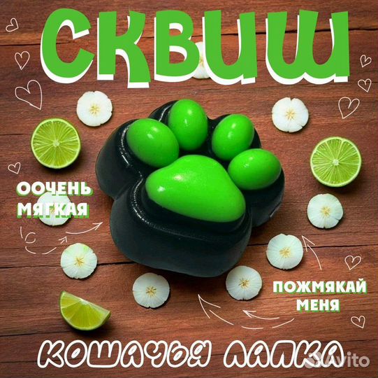 Таба лапка сквиш