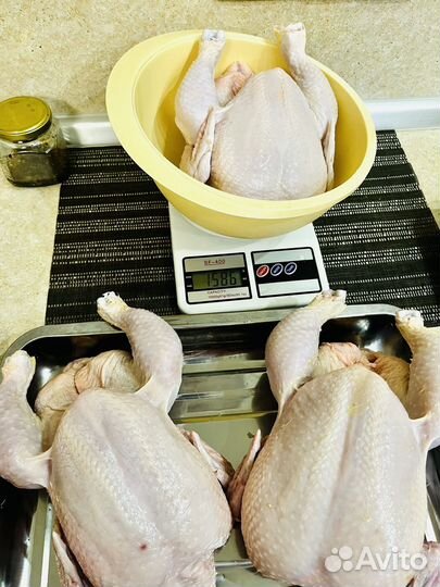 Мясо домашней курицы, кур