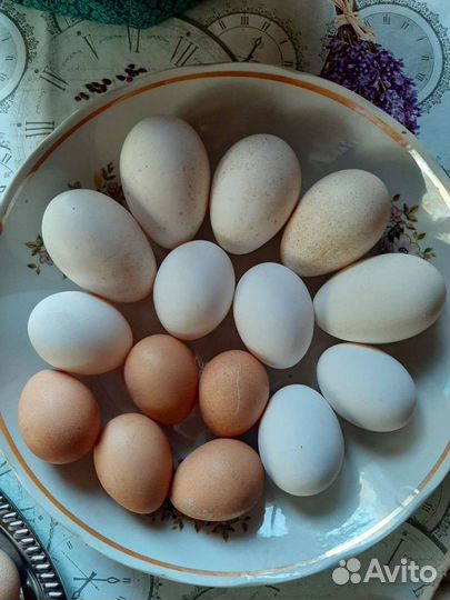 Яйцо куриное, диетическое