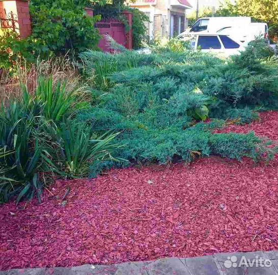 Кора лиственницы