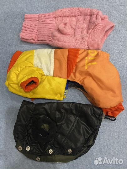 Одежда для собак