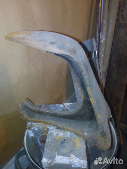 Лапа сапожника