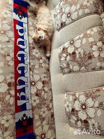 Мужской шарф (Россия)(Олимпиада, 2014 Сочи)