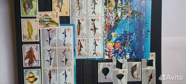 Альбом с марками рыбы