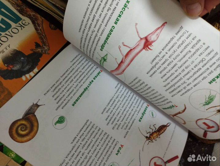 Детские книги СССР