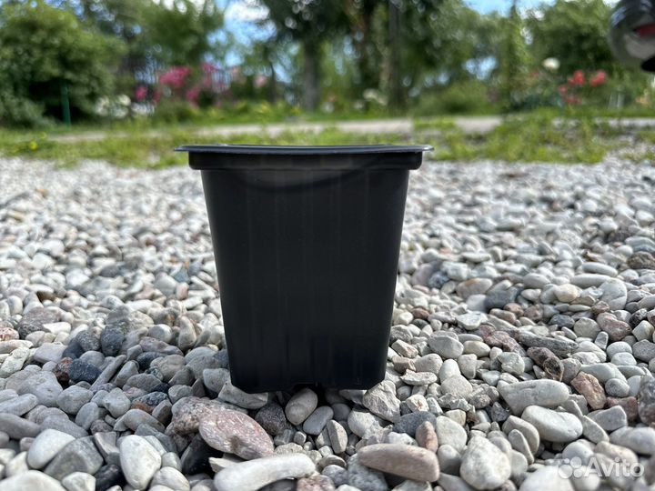 Контейнер для рассады Р9