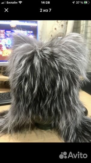 Шапки Зимние, цены Разные