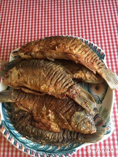 Рыбалка и отдых