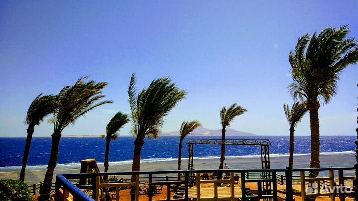 Бронирование отелей и билетов в египет турцию